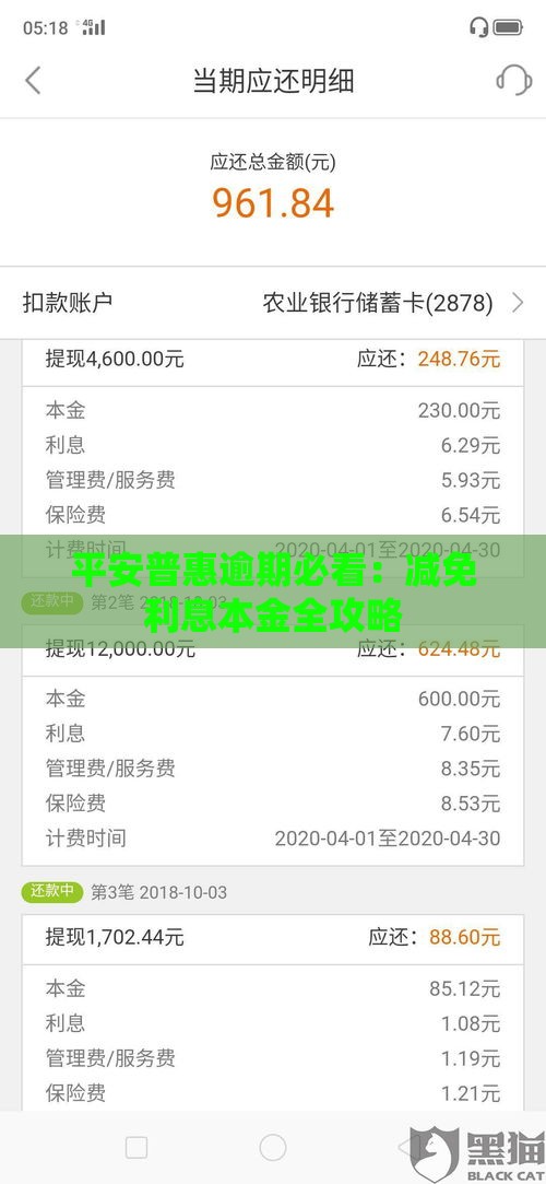 平安普惠逾期必看：减免利息本金全攻略