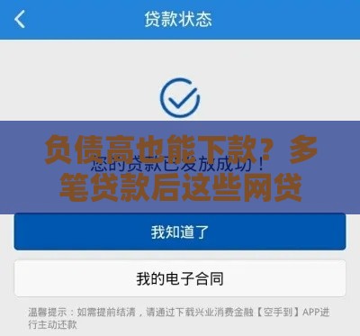 负债高也能下款？多笔贷款后这些网贷平台还能审核通过