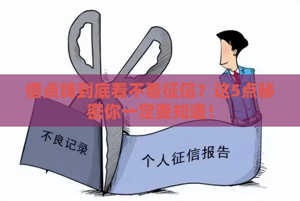 借点钱到底看不看征信？这5点秘密你一定要知道！
