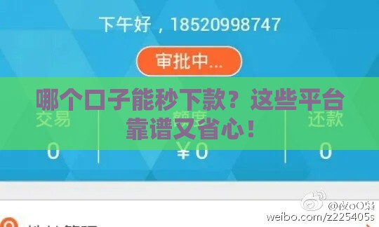 哪个口子能秒下款？这些平台靠谱又省心！