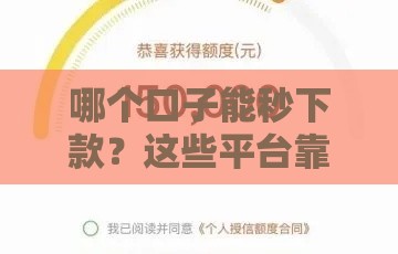 哪个口子能秒下款？这些平台靠谱又省心！