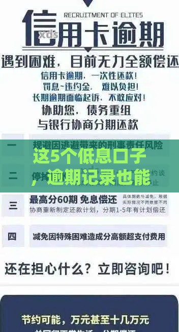 这5个低息口子，逾期记录也能申请（附避坑指南）