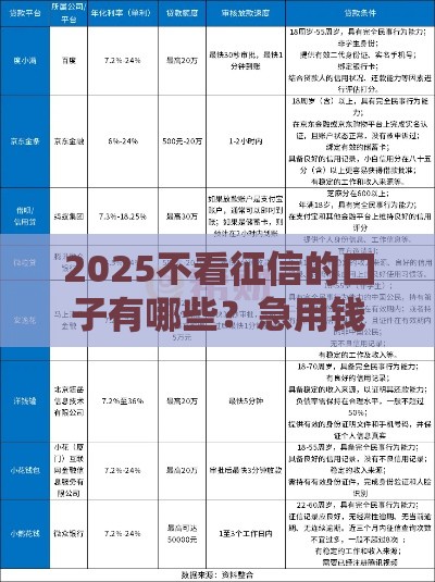 2025不看征信的口子有哪些？急用钱必看这5个秒批贷款渠道！