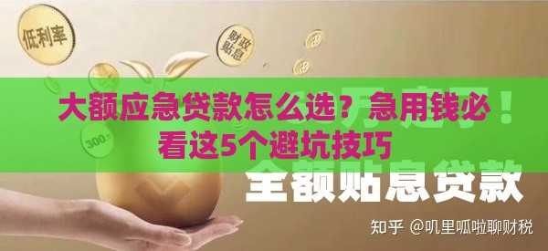 大额应急贷款怎么选？急用钱必看这5个避坑技巧