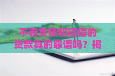 不看负债和征信的贷款真的靠谱吗？揭秘背后风险