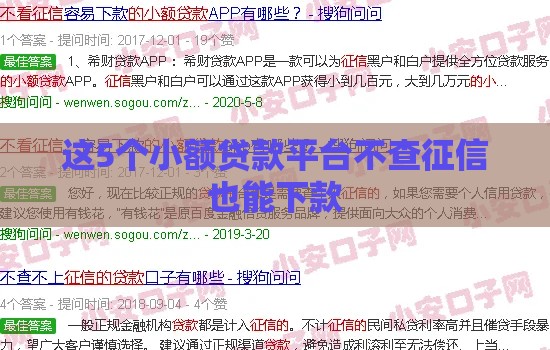 这5个小额贷款平台不查征信也能下款
