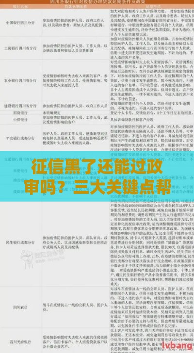 征信黑了还能过政审吗？三大关键点帮你理清思路