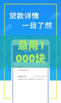 急用1000块怎么借？小额贷款这样申请最省心