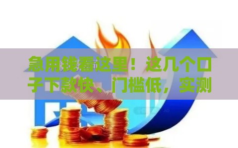 急用钱看这里！这几个口子下款快、门槛低，实测有效