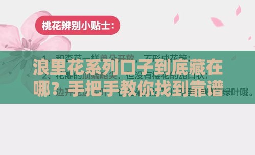 浪里花系列口子到底藏在哪？手把手教你找到靠谱贷款渠道