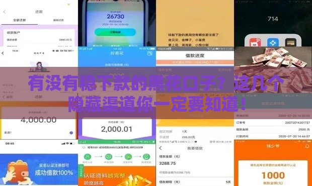 有没有稳下款的黑花口子？这几个隐藏渠道你一定要知道！