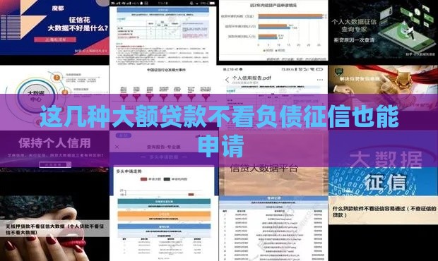 这几种大额贷款不看负债征信也能申请