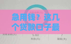 急用钱？这几个贷款口子最快5分钟到账！