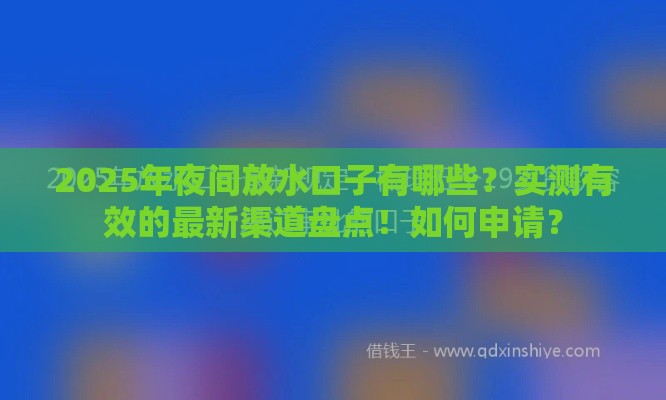 2025年夜间放水口子有哪些？实测有效的最新渠道盘点！如何申请？