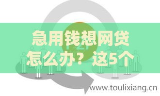 急用钱想网贷怎么办？这5个避坑技巧必须掌握！