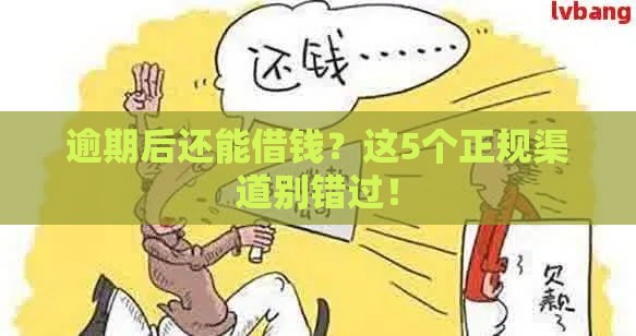 逾期后还能借钱？这5个正规渠道别错过！