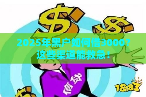 2025年黑户如何借3000？这些渠道能救急！