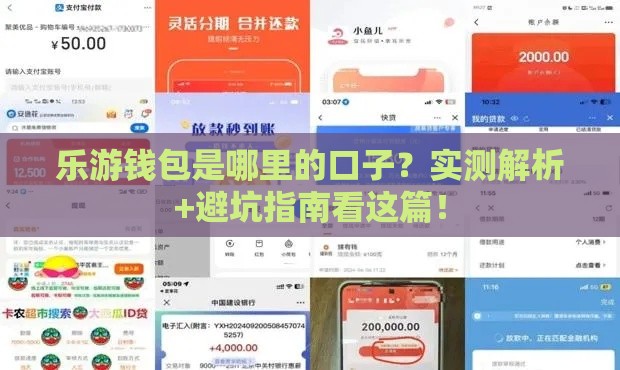 乐游钱包是哪里的口子？实测解析+避坑指南看这篇！