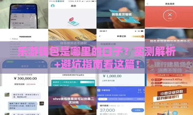 乐游钱包是哪里的口子？实测解析+避坑指南看这篇！