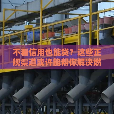 不看信用也能贷？这些正规渠道或许能帮你解决燃眉之急！