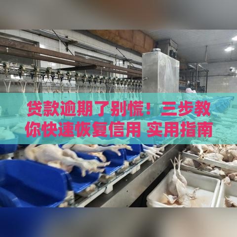 贷款逾期了别慌！三步教你快速恢复信用 实用指南来了