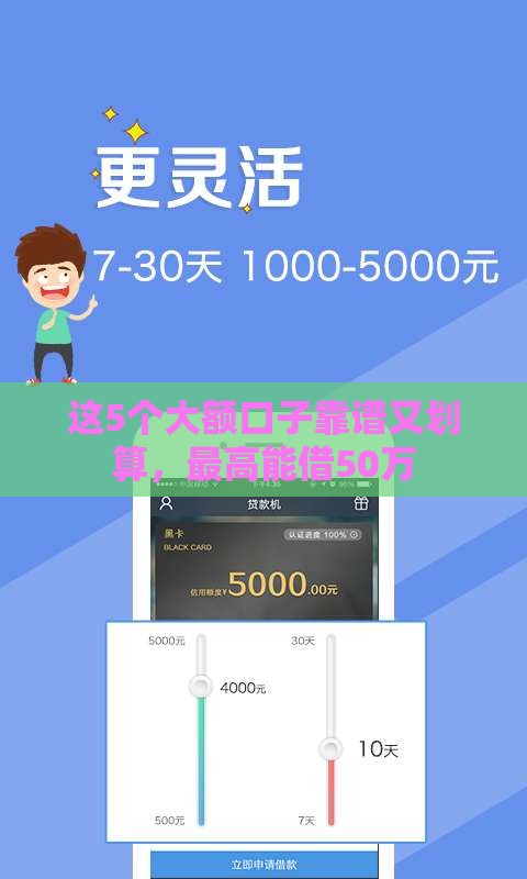 这5个大额口子靠谱又划算，最高能借50万