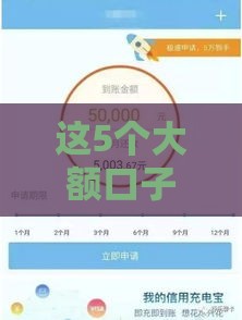 这5个大额口子靠谱又划算，最高能借50万