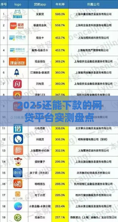 2025还能下款的网贷平台实测盘点