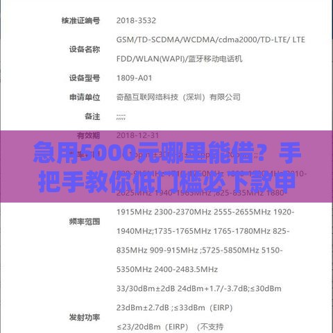 急用5000元哪里能借？手把手教你低门槛必下款申请技巧！