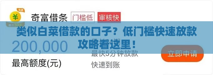 类似白菜借款的口子？低门槛快速放款攻略看这里！