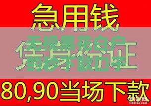 无视黑花白户的秒下款口子怎么找