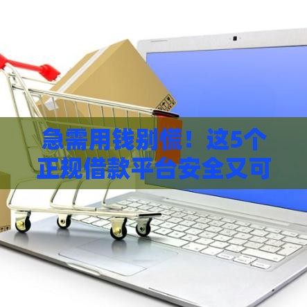 急需用钱别慌！这5个正规借款平台安全又可靠