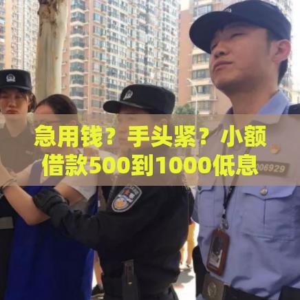 急用钱？手头紧？小额借款500到1000低息方案全解析