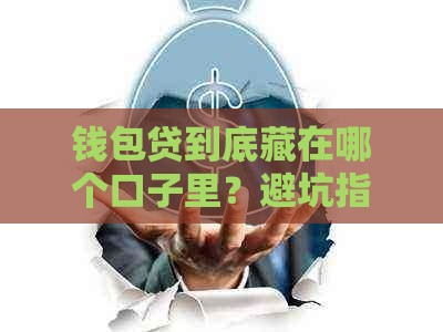 钱包贷到底藏在哪个口子里？避坑指南来了