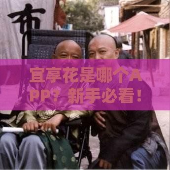 宜享花是哪个APP？新手必看！贷款额度、利息、资质全攻略