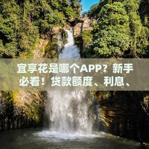 宜享花是哪个APP？新手必看！贷款额度、利息、资质全攻略