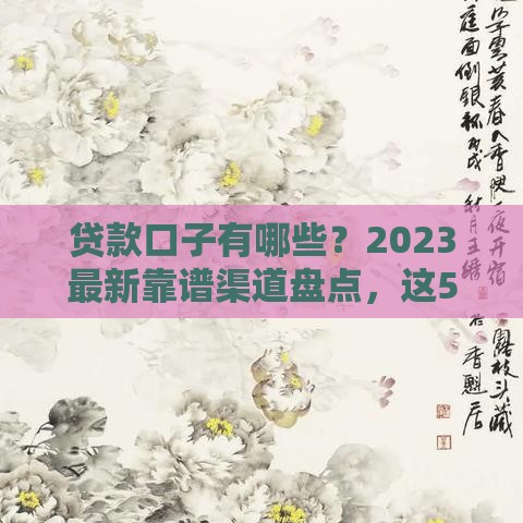 贷款口子有哪些？2023最新靠谱渠道盘点，这5类平台最省心