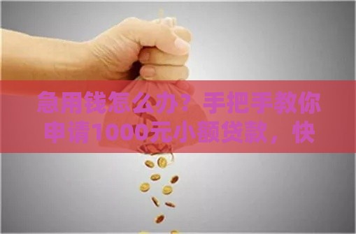 急用钱怎么办？手把手教你申请1000元小额贷款，快速到账不踩坑！