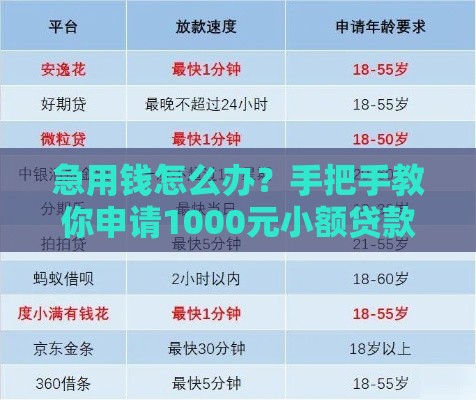 急用钱怎么办？手把手教你申请1000元小额贷款，快速到账不踩坑！