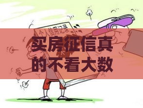 买房征信真的不看大数据？这些细节可能让你贷款被拒！