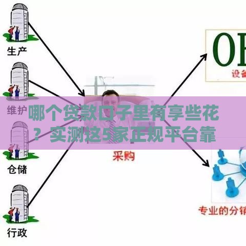 哪个贷款口子里有享些花？实测这5家正规平台靠谱又好批！