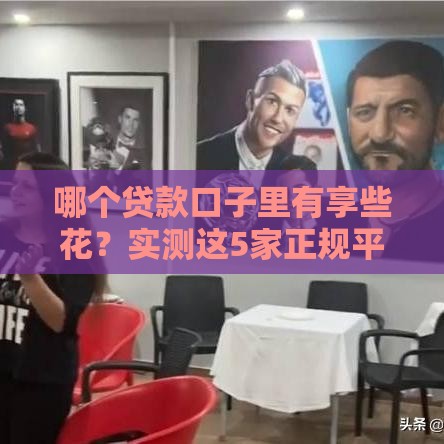 哪个贷款口子里有享些花？实测这5家正规平台靠谱又好批！