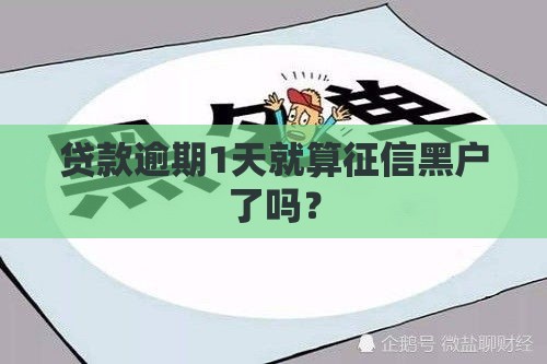 贷款逾期1天就算征信黑户了吗？