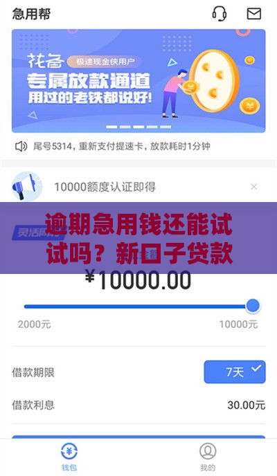 逾期急用钱还能试试吗？新口子贷款申请条件全解析
