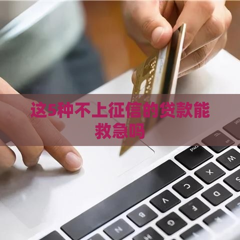 这5种不上征信的贷款能救急吗