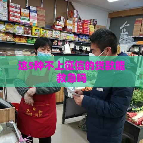 这5种不上征信的贷款能救急吗