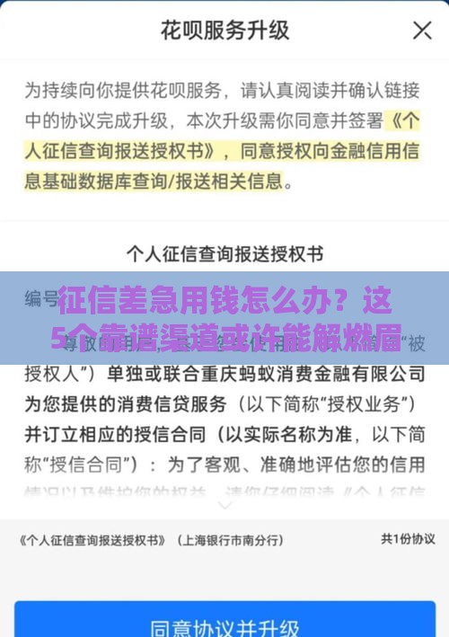 征信差急用钱怎么办？这5个靠谱渠道或许能解燃眉之急！