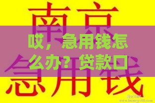 哎，急用钱怎么办？贷款口子到底该去哪里下载才靠谱？