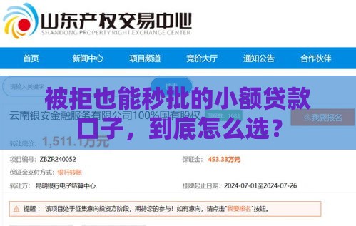 被拒也能秒批的小额贷款口子，到底怎么选？