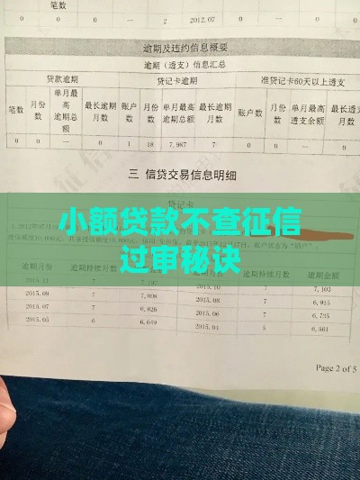 小额贷款不查征信过审秘诀